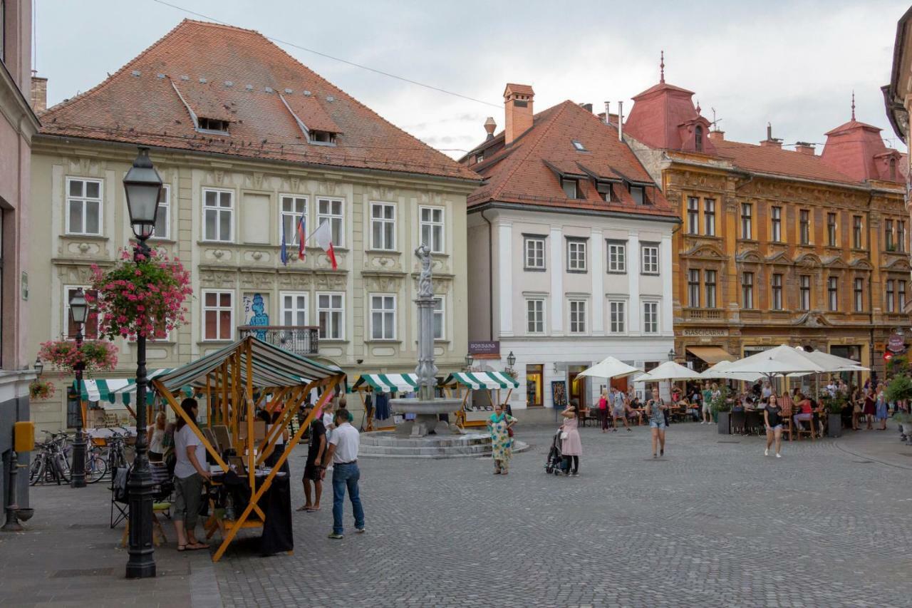 Apartment Fine Dalmatinova Ljubljana Eksteriør bilde